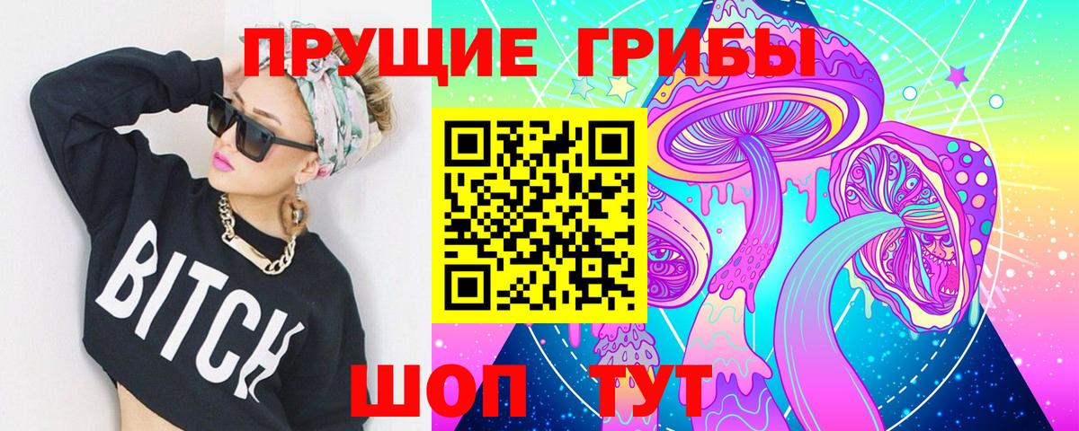 Волжский  Псилоцибиновые грибы мицелий  Вход с VPN  Псилоцибиновые грибы GOLDEN TEACHER 